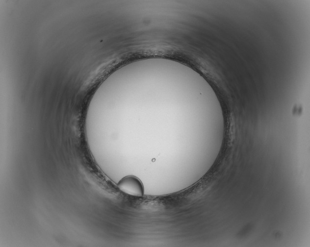 X0000110770258200907061125