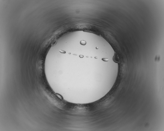 X0000110770260200907061125