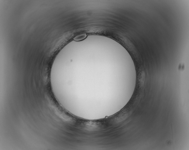 X0000110770261200907061125