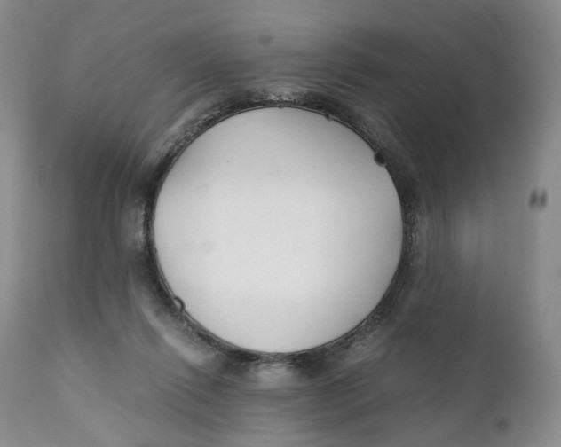 X0000110770262200907061125