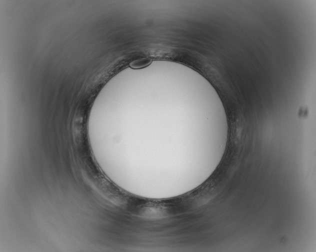 X0000110770263200907061125