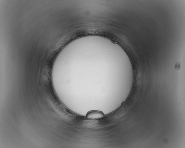 X0000110770266200907061125