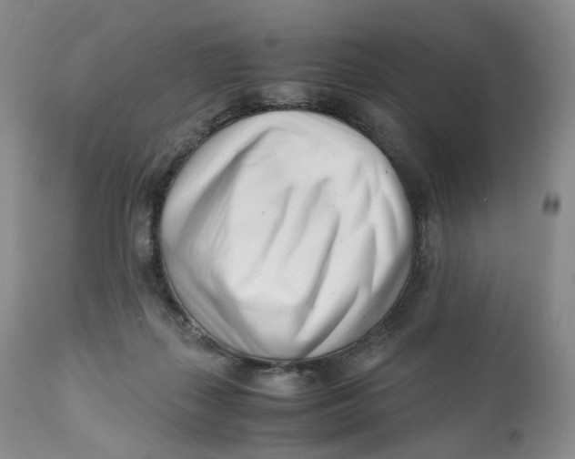 X0000110770267200907061125