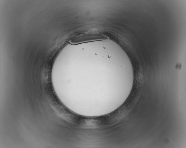 X0000110770268200907061125