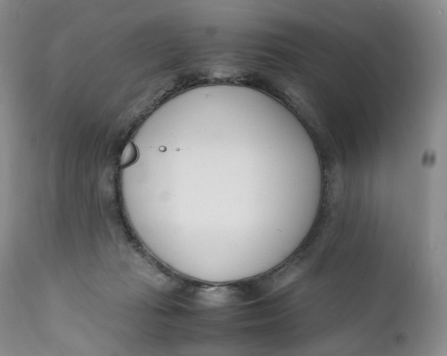 X0000110770269200907061125