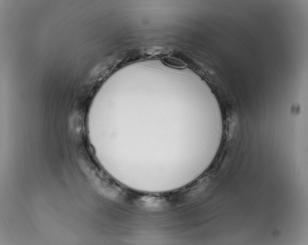 X0000110770272200907061125