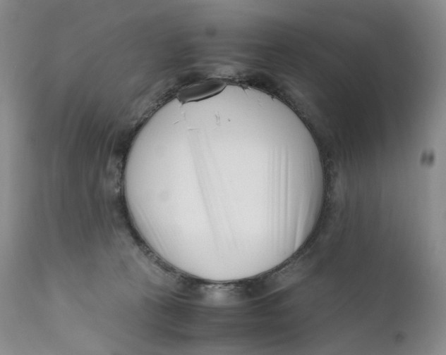 X0000110770273200907061125