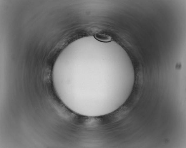 X0000110770274200907061125