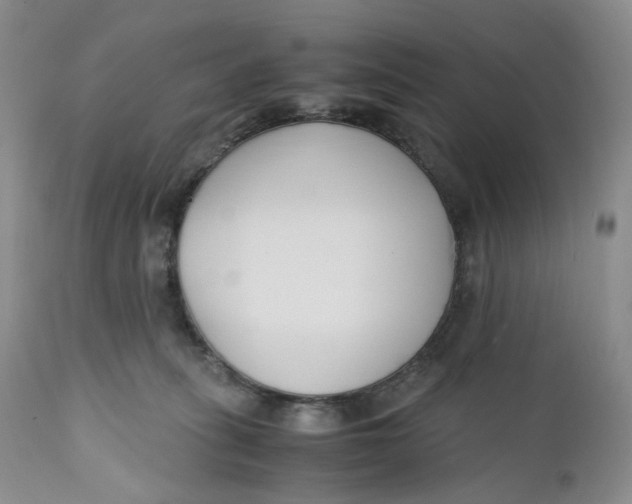 X0000110770275200907061125