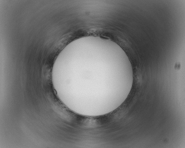 X0000110770276200907061125