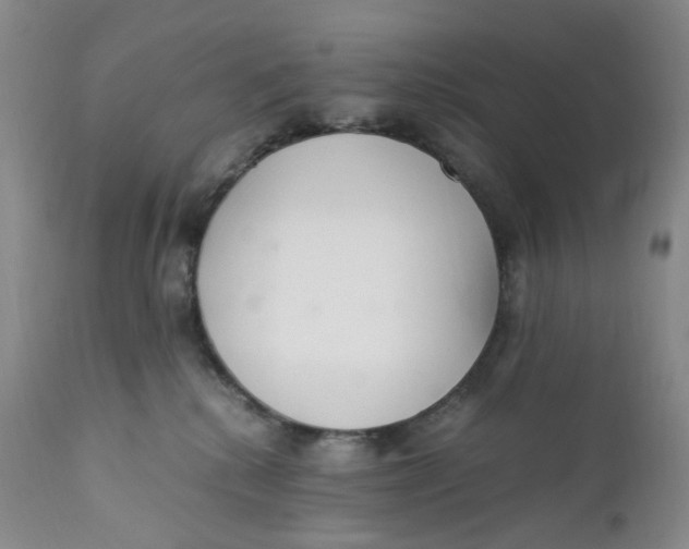 X0000110770280200907061125