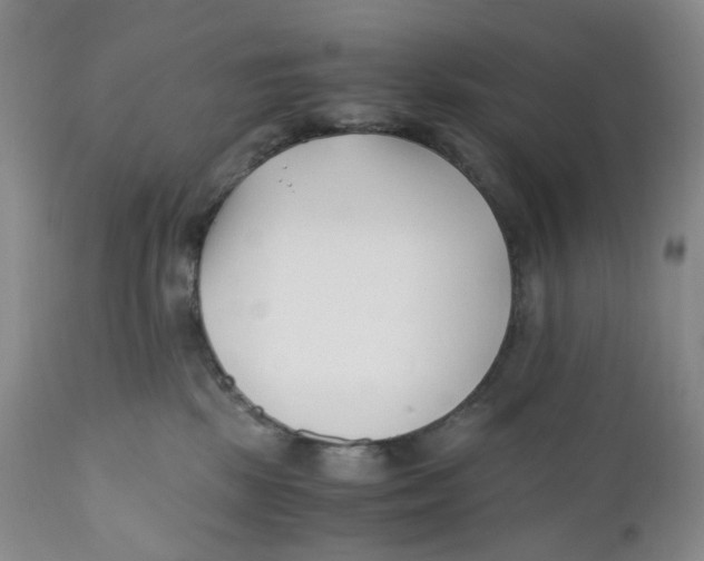 X0000110770281200907061125