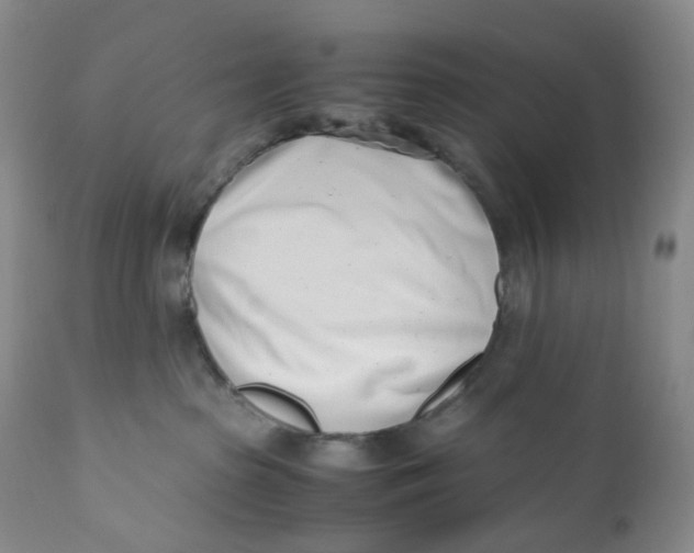 X0000110770285200907061126