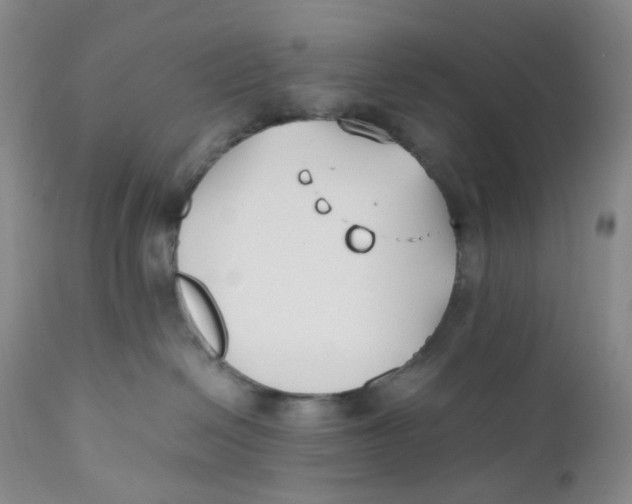 X0000110770286200907061126