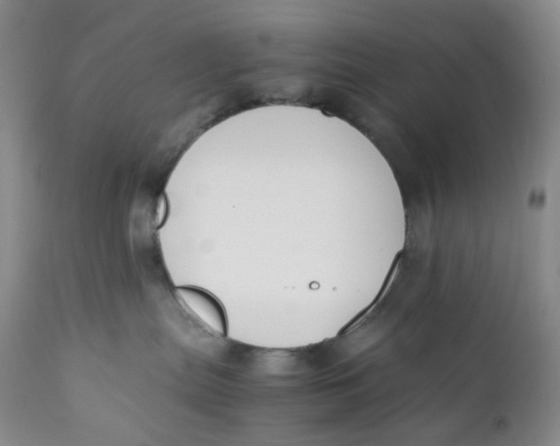 X0000110770287200907061126