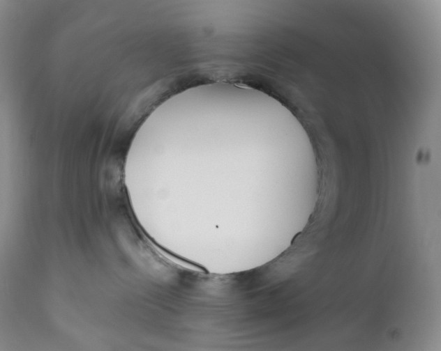 X0000110770288200907061126