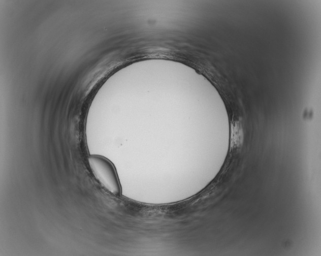 X0000110770291200907061125