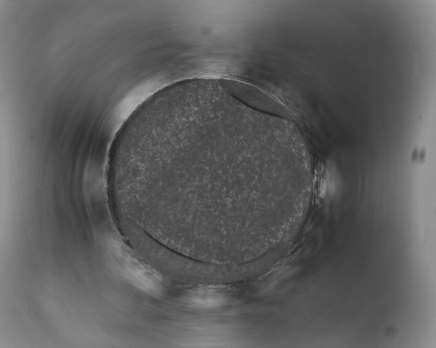 X0000110770292200907061125