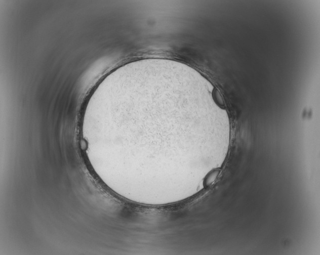 X0000110770293200907061125