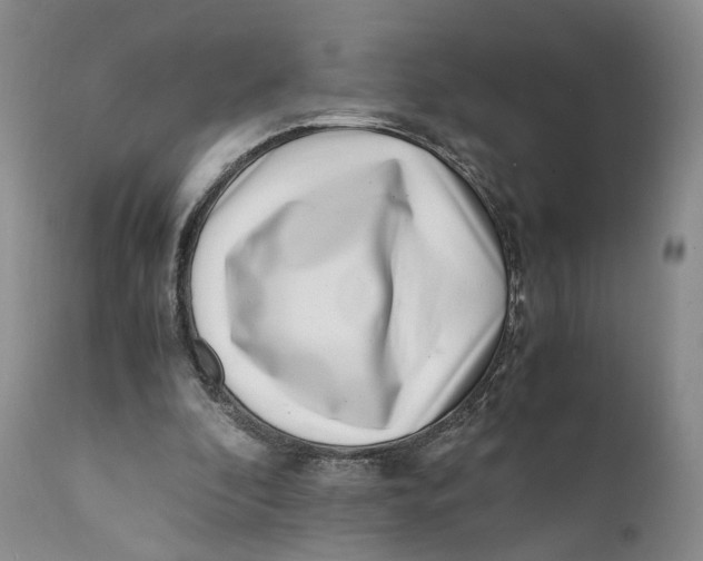 X0000110770296200907061125