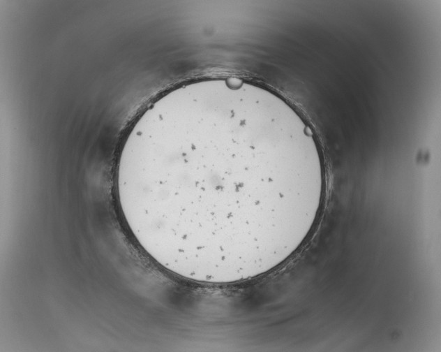 X0000110770297200907061125