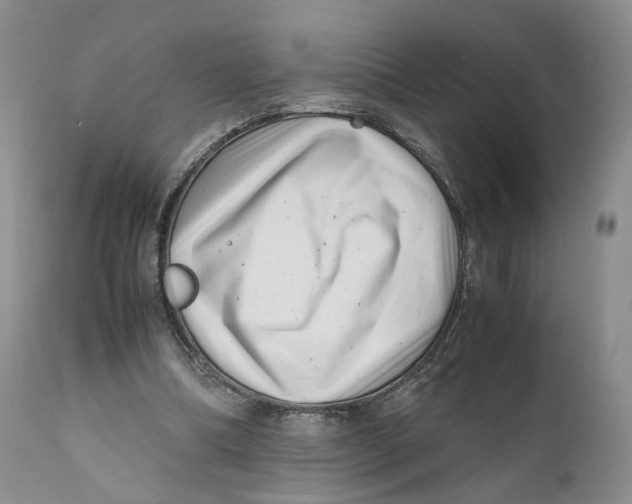 X0000110770298200907061125