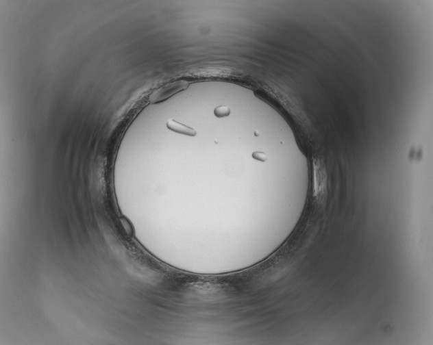 X0000110770300200907061125