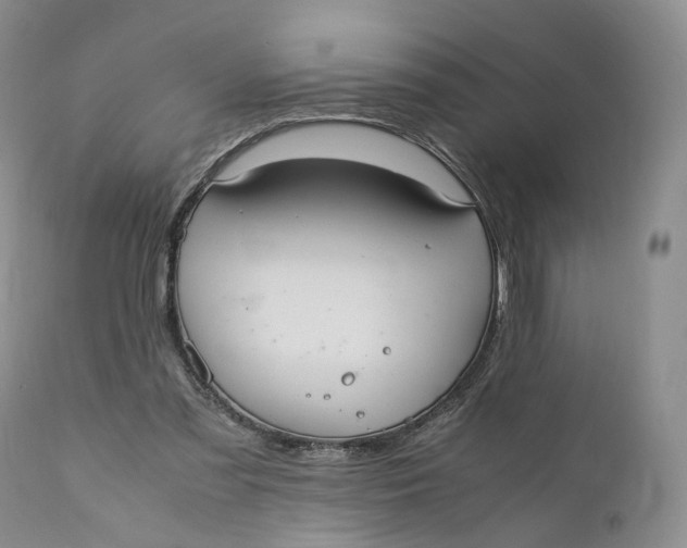 X0000110770301200907061125