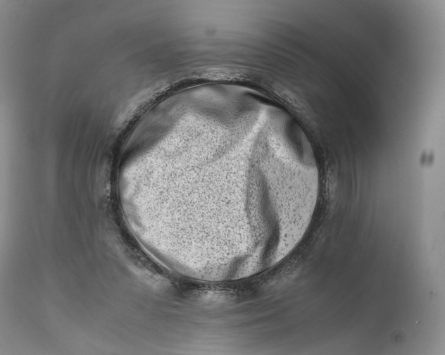 X0000110770303200907061125