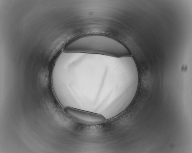 X0000110770304200907061125