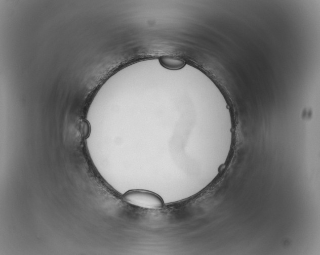 X0000110770305200907061125