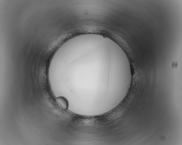 X0000110770306200907061125