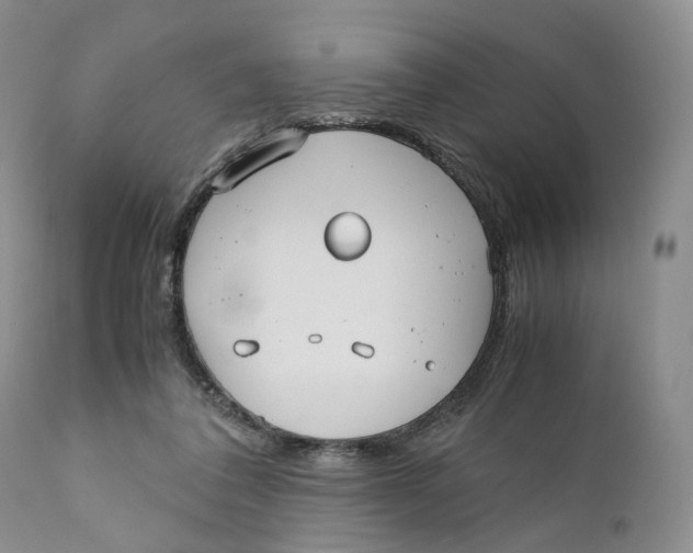 X0000110770308200907061125