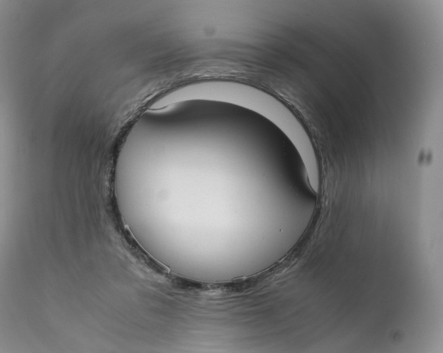 X0000110770309200907061125