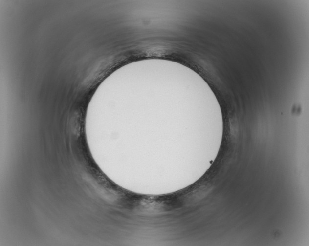 X0000110770311200907061125