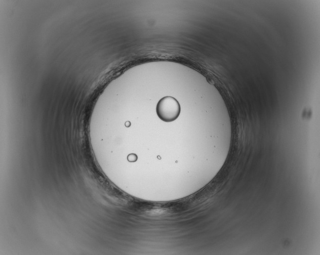 X0000110770312200907061125