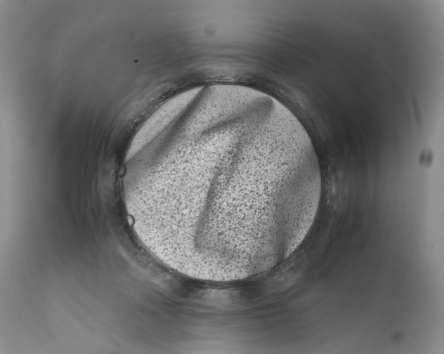 X0000110770314200907061125