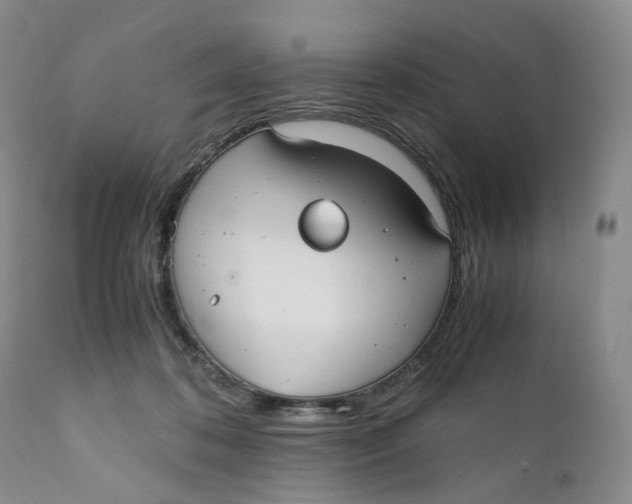 X0000110770316200907061125