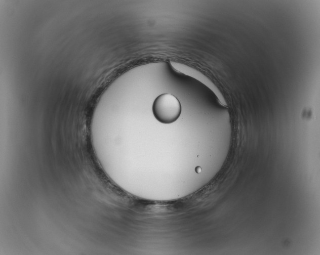 X0000110770320200907061124