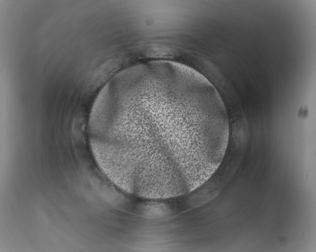 X0000110770322200907061124