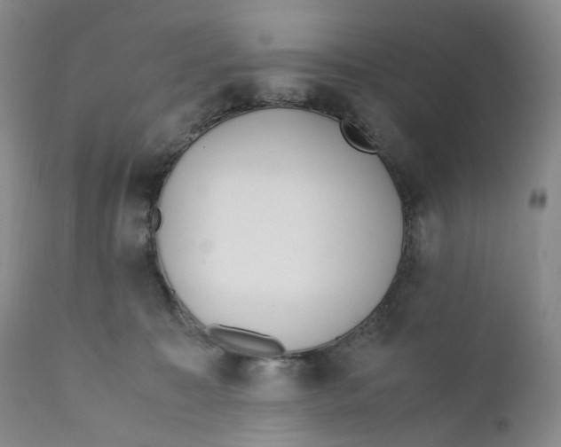 X0000110770323200907061124