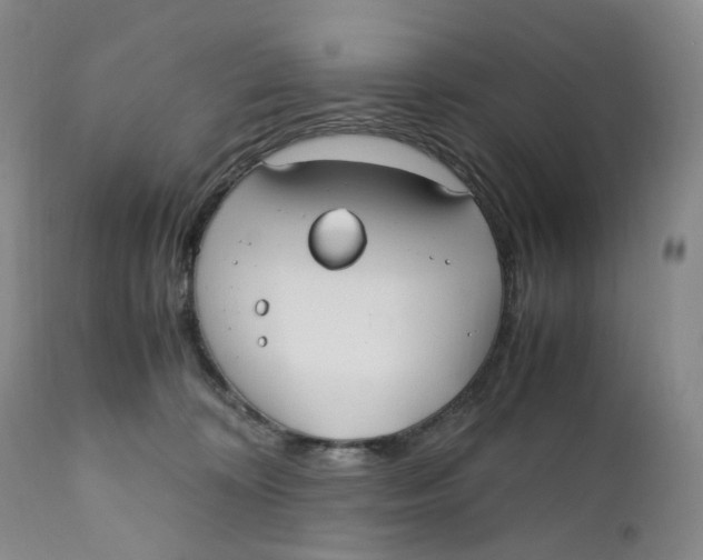 X0000110770324200907061124