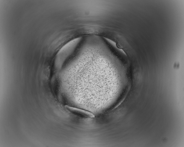 X0000110770325200907061124