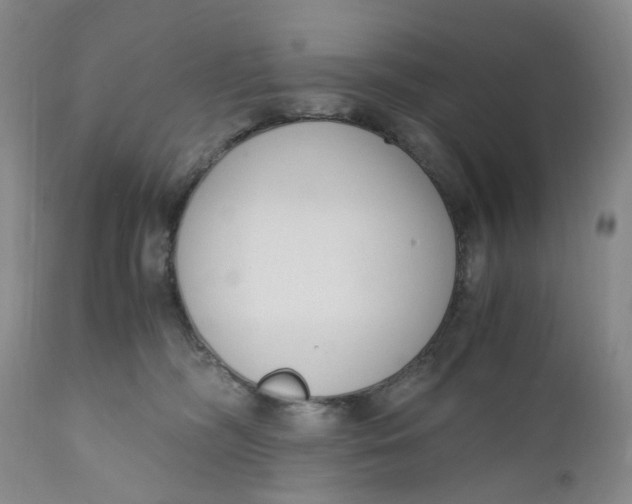 X0000110770326200907061124