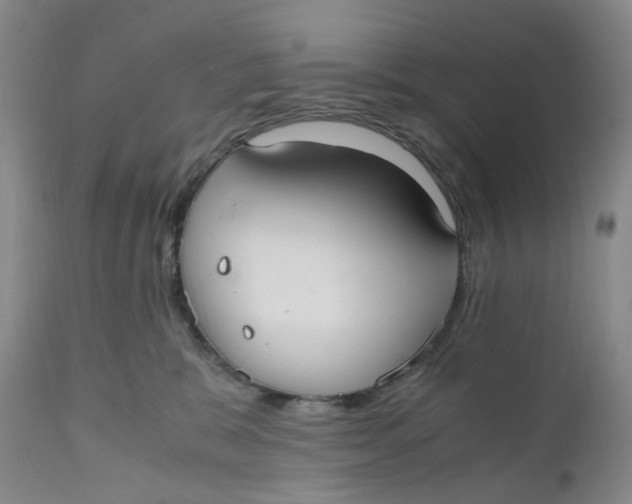 X0000110770327200907061124