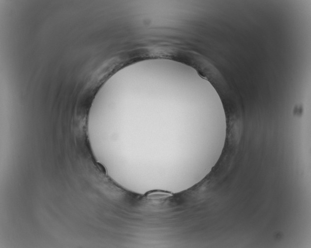 X0000110770329200907061124