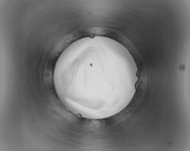 X0000110770330200907061124