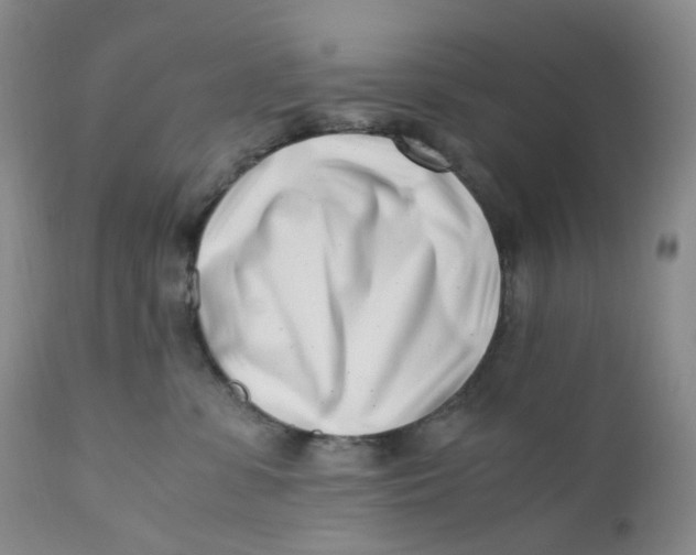 X0000110770331200907061124