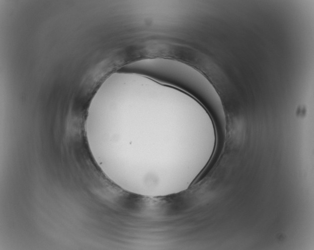 X0000110770333200907061124