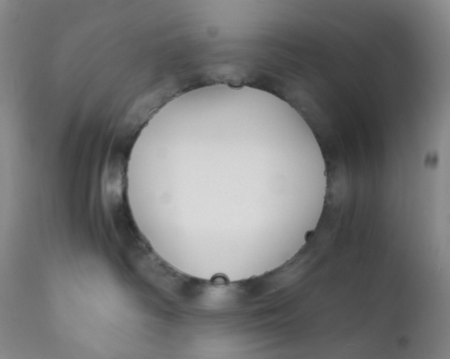 X0000110770334200907061124